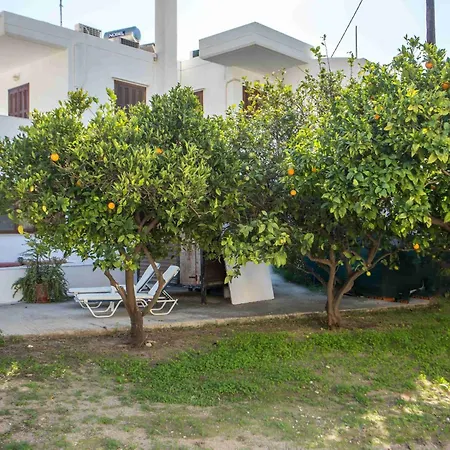 Christine Beachside Pefkos *